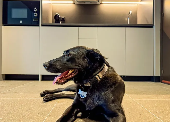 Bahia De Szálloda 4*