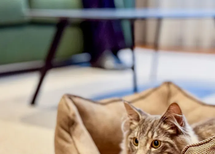 Szálloda Bahia De Vigo